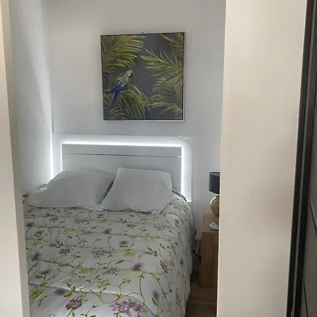 Confortable, Petite Vue Et Piscine Cassis